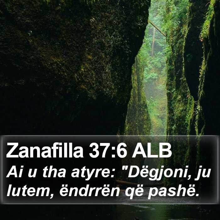 Zanafilla 37:6 ALB Bible Study