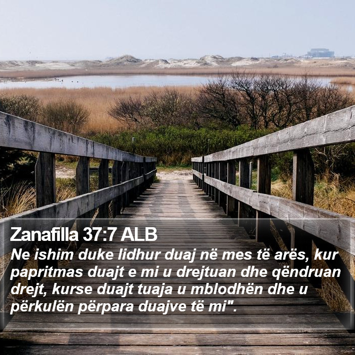 Zanafilla 37:7 ALB Bible Study