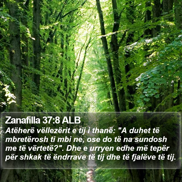 Zanafilla 37:8 ALB Bible Study