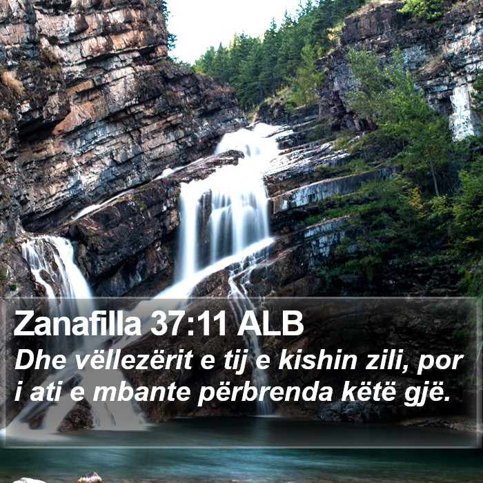 Zanafilla 37:11 ALB Bible Study