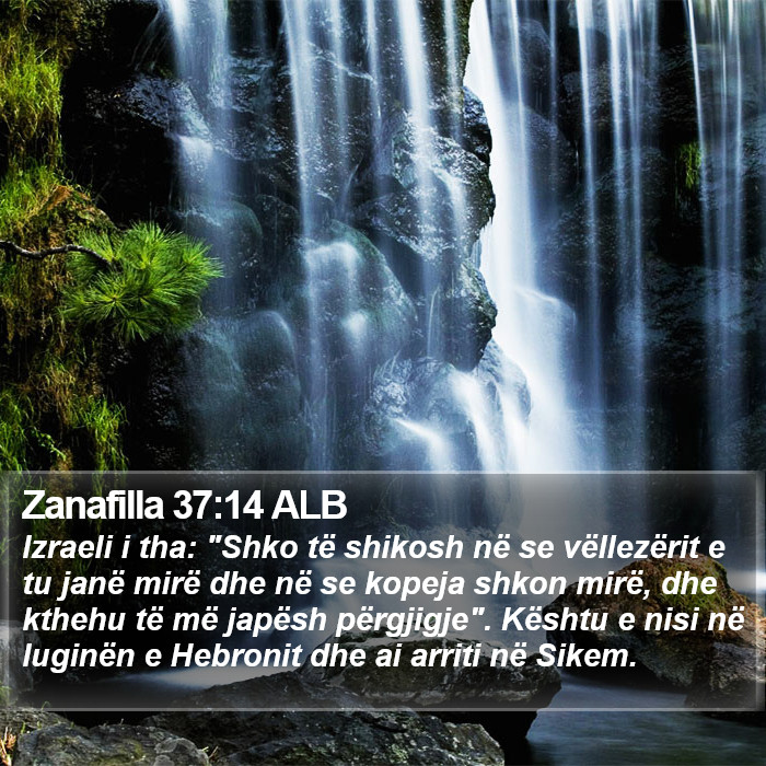 Zanafilla 37:14 ALB Bible Study