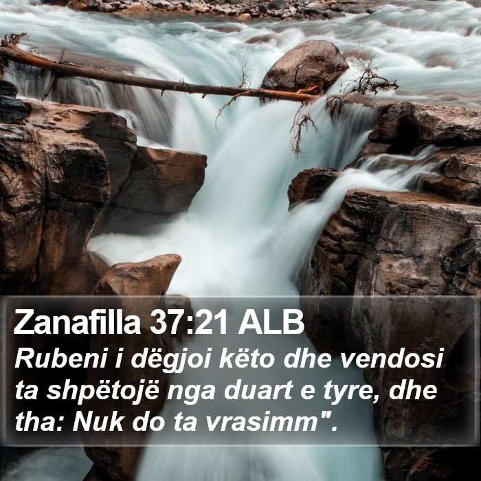 Zanafilla 37:21 ALB Bible Study