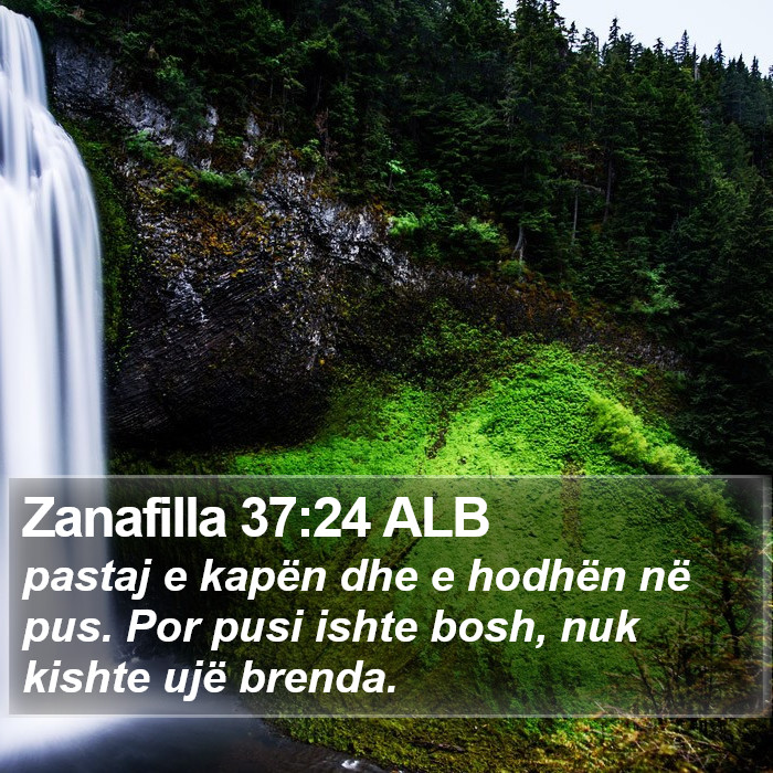 Zanafilla 37:24 ALB Bible Study