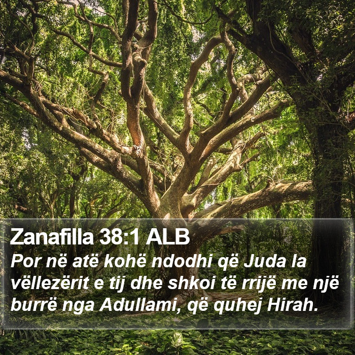 Zanafilla 38:1 ALB Bible Study