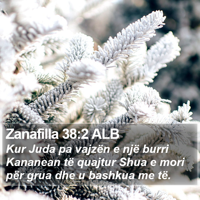 Zanafilla 38:2 ALB Bible Study