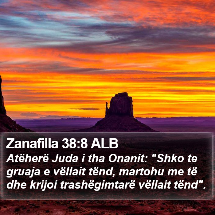 Zanafilla 38:8 ALB Bible Study