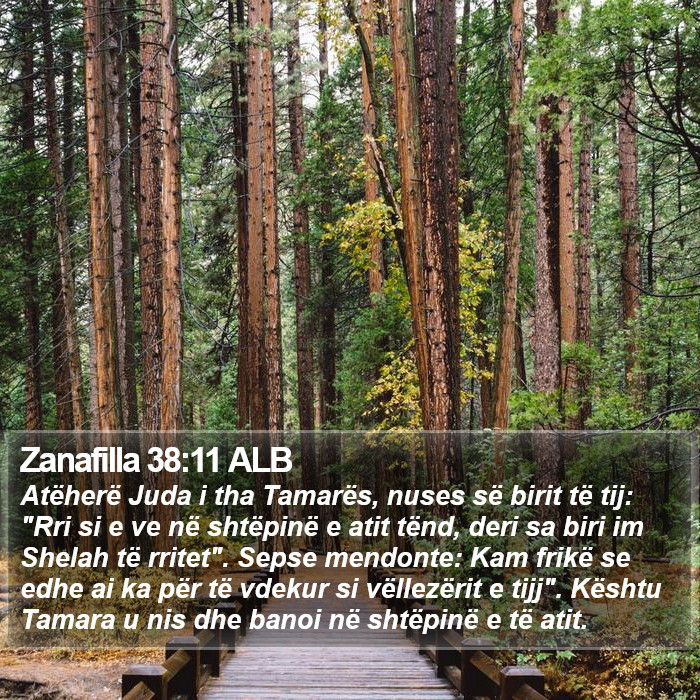 Zanafilla 38:11 ALB Bible Study