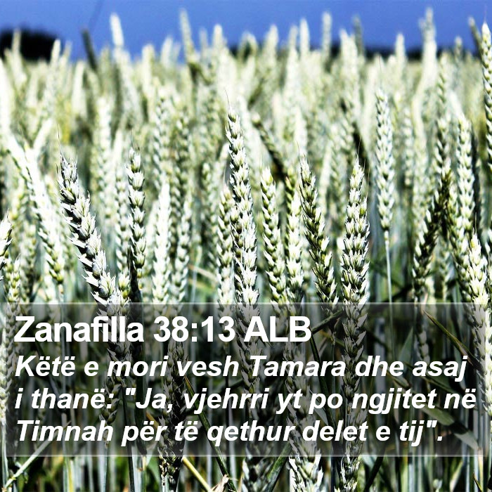 Zanafilla 38:13 ALB Bible Study