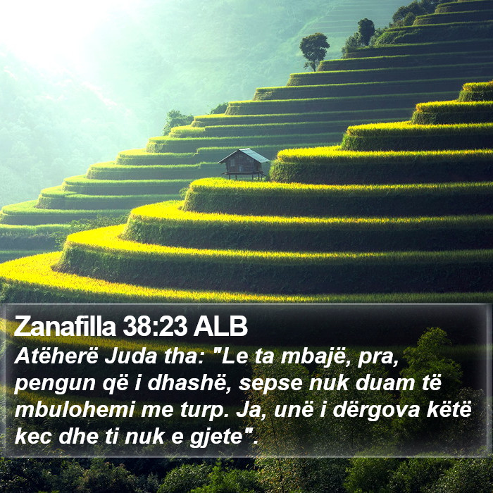 Zanafilla 38:23 ALB Bible Study