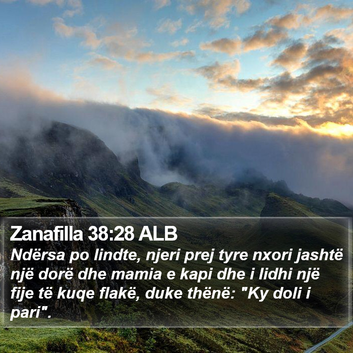 Zanafilla 38:28 ALB Bible Study