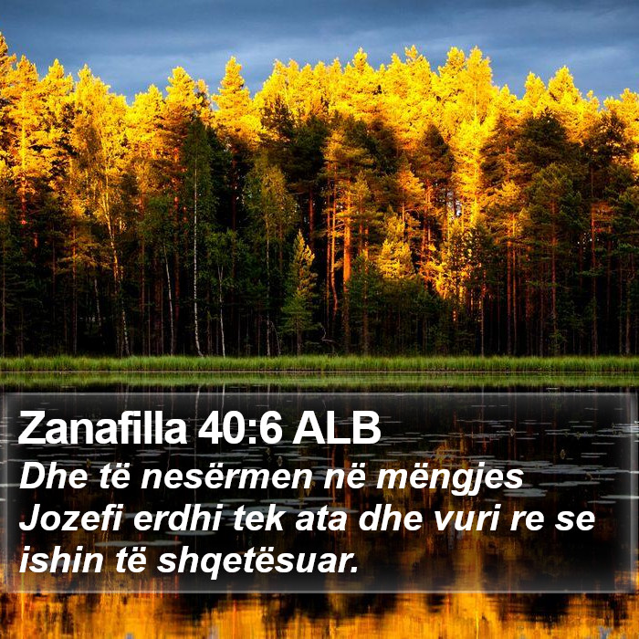 Zanafilla 40:6 ALB Bible Study