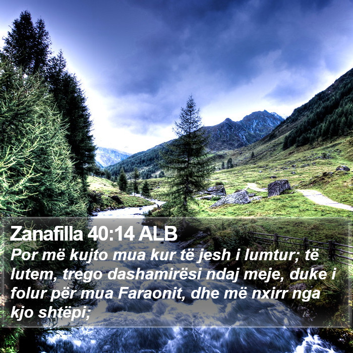 Zanafilla 40:14 ALB Bible Study
