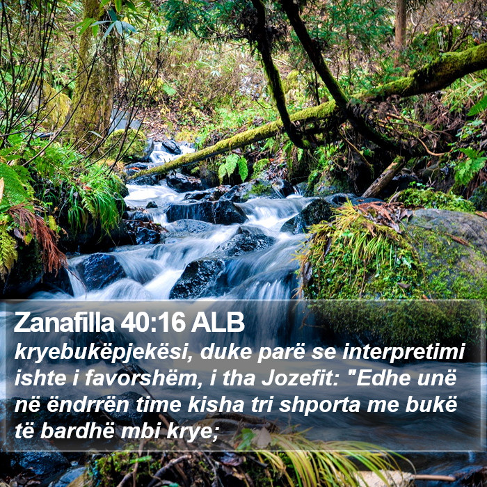 Zanafilla 40:16 ALB Bible Study