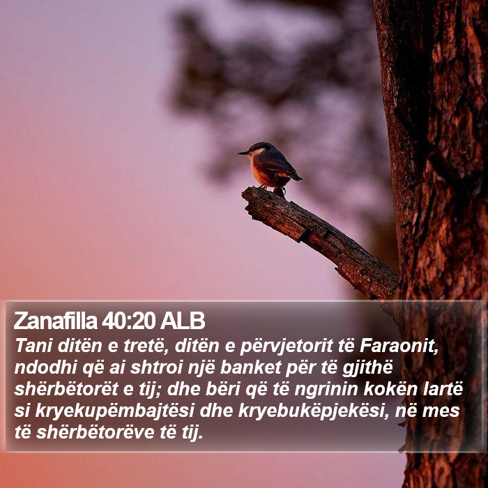 Zanafilla 40:20 ALB Bible Study