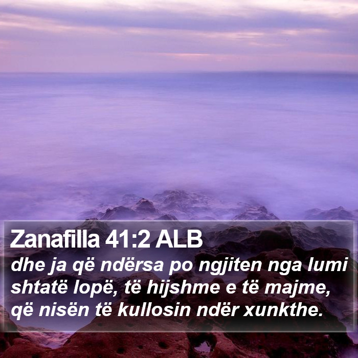 Zanafilla 41:2 ALB Bible Study