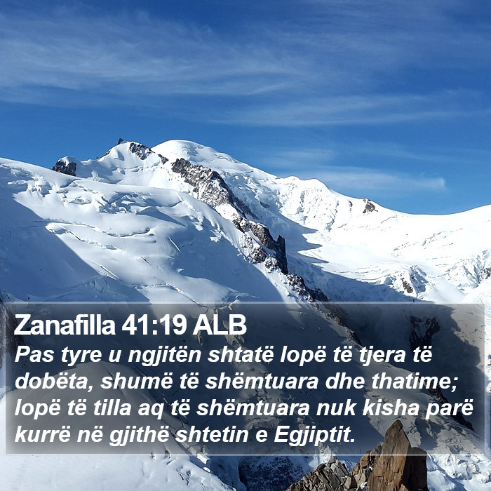 Zanafilla 41:19 ALB Bible Study