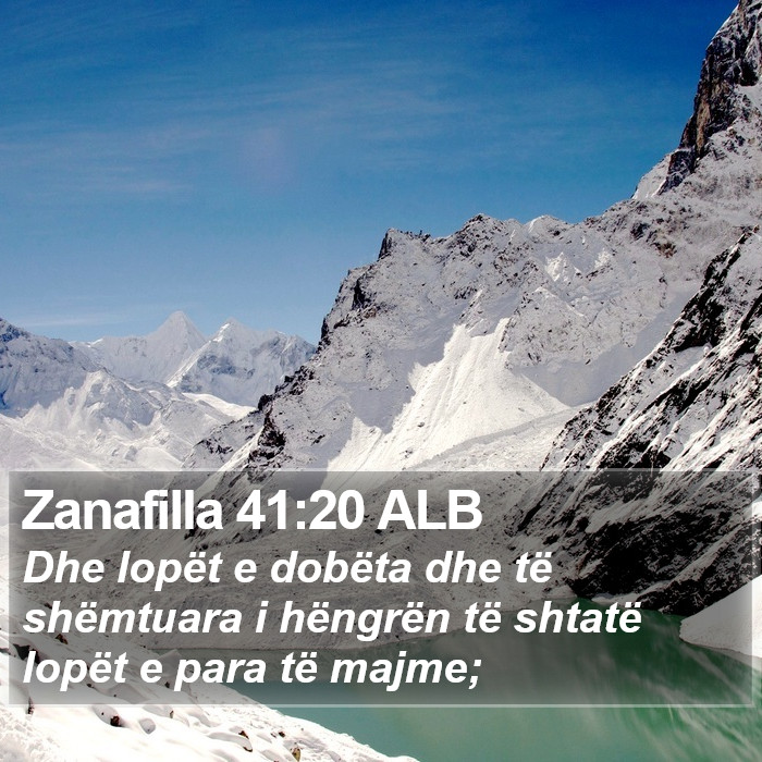 Zanafilla 41:20 ALB Bible Study