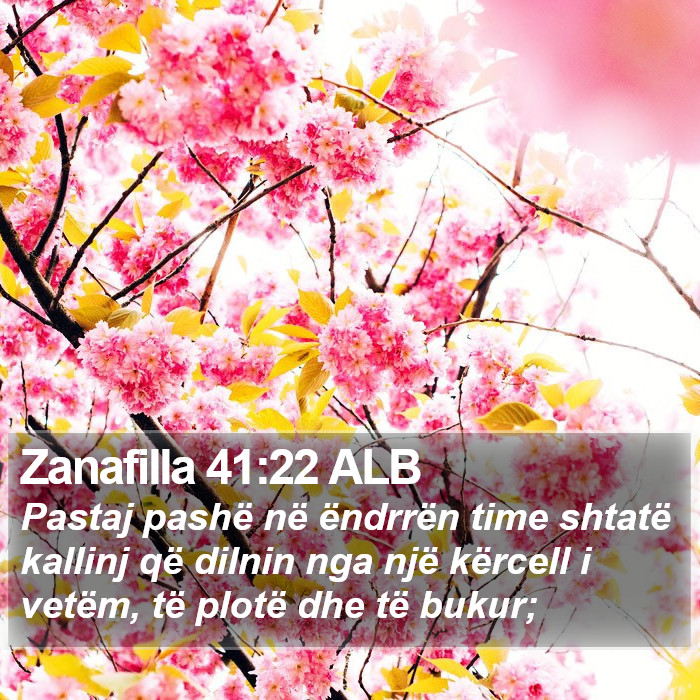 Zanafilla 41:22 ALB Bible Study