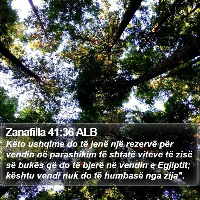 Zanafilla 41:36 ALB Bible Study