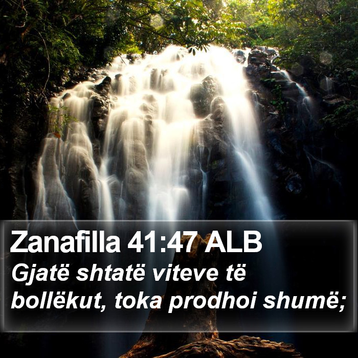 Zanafilla 41:47 ALB Bible Study