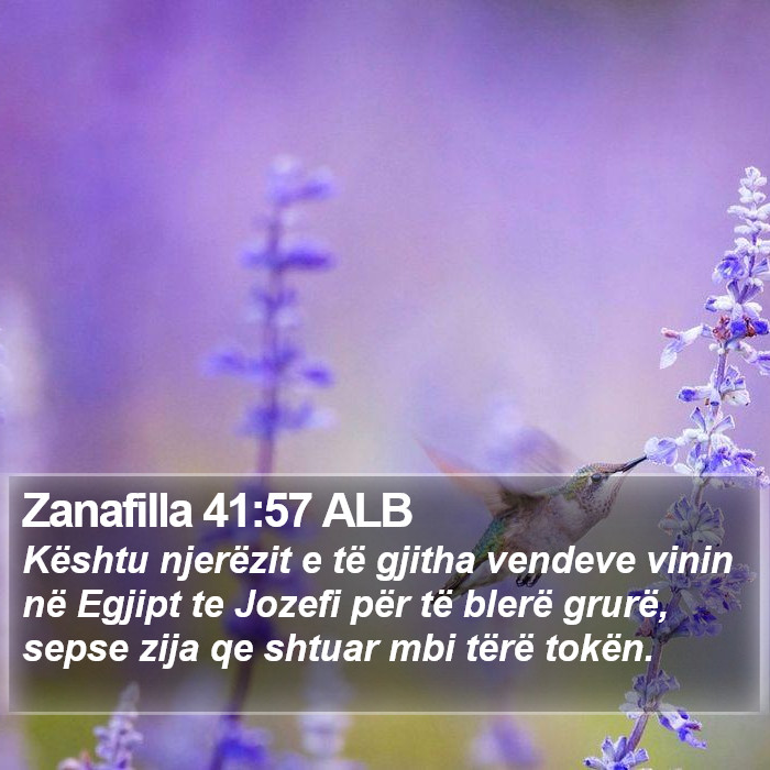 Zanafilla 41:57 ALB Bible Study