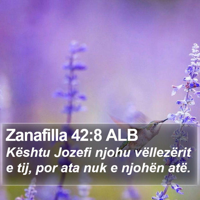 Zanafilla 42:8 ALB Bible Study