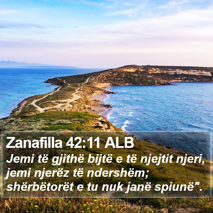 Zanafilla 42:11 ALB Bible Study