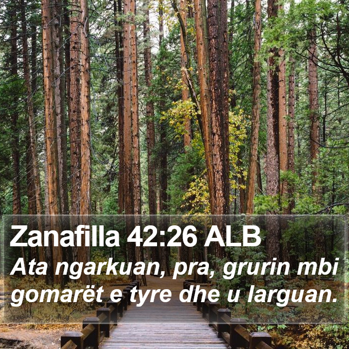 Zanafilla 42:26 ALB Bible Study