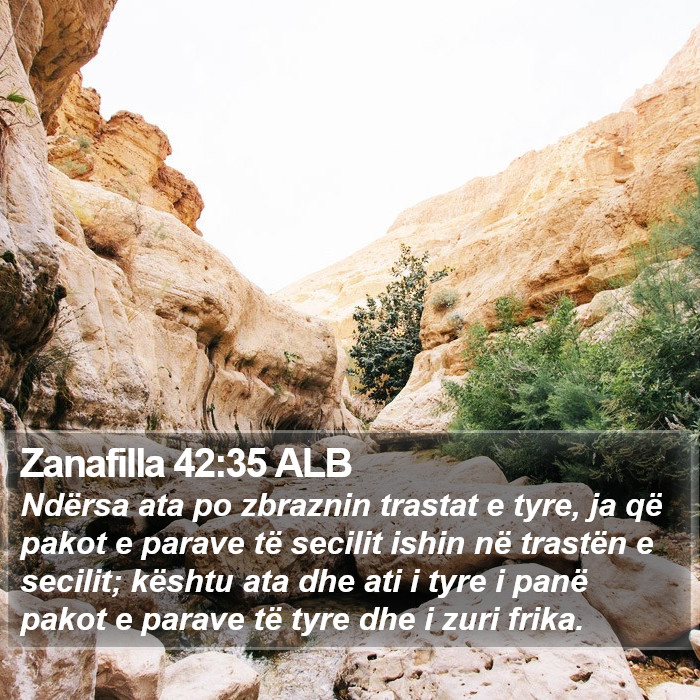 Zanafilla 42:35 ALB Bible Study
