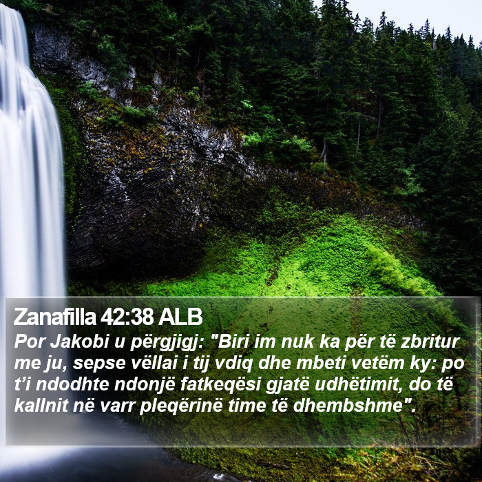 Zanafilla 42:38 ALB Bible Study
