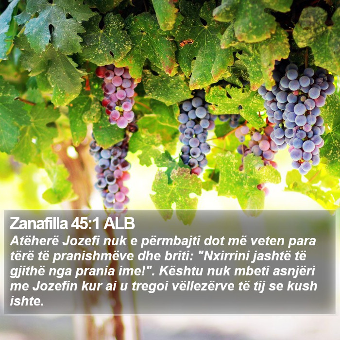 Zanafilla 45:1 ALB Bible Study