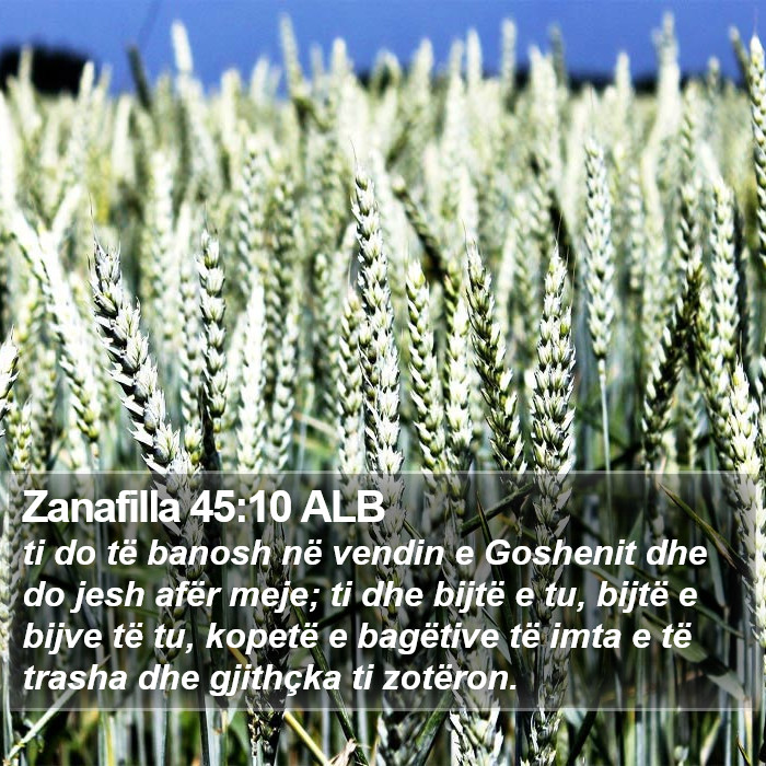 Zanafilla 45:10 ALB Bible Study