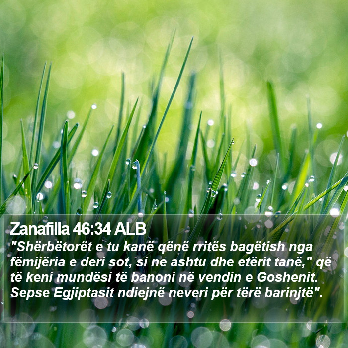Zanafilla 46:34 ALB Bible Study