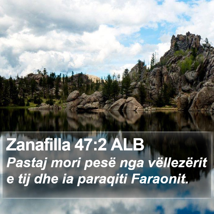 Zanafilla 47:2 ALB Bible Study