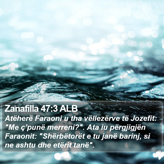 Zanafilla 47:3 ALB Bible Study