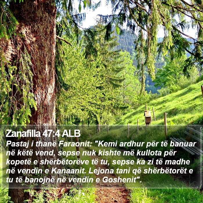 Zanafilla 47:4 ALB Bible Study