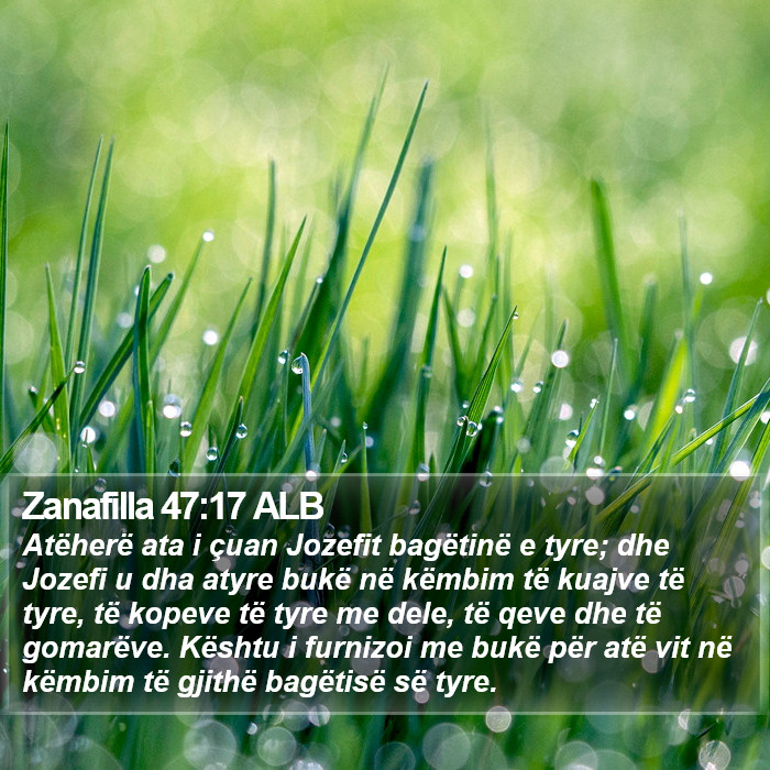 Zanafilla 47:17 ALB Bible Study