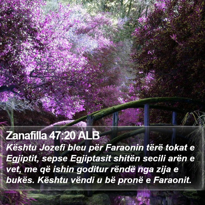 Zanafilla 47:20 ALB Bible Study