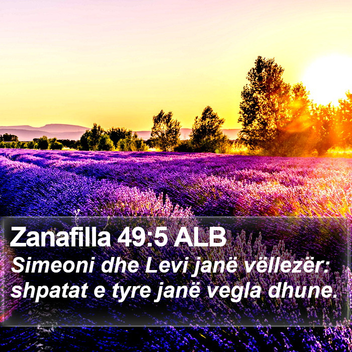 Zanafilla 49:5 ALB Bible Study