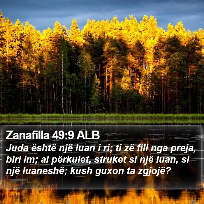 Zanafilla 49:9 ALB Bible Study