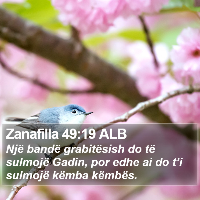 Zanafilla 49:19 ALB Bible Study