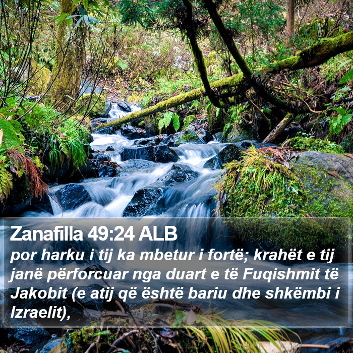 Zanafilla 49:24 ALB Bible Study