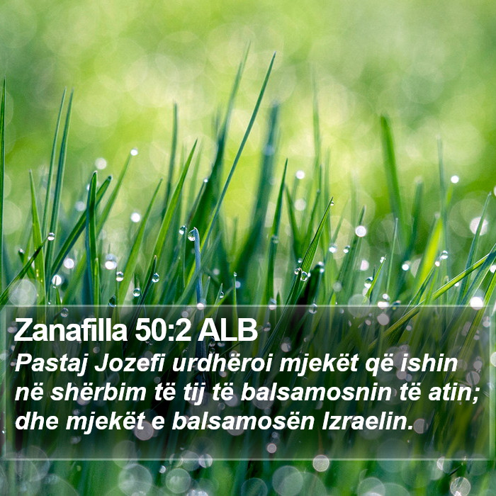 Zanafilla 50:2 ALB Bible Study