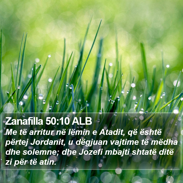 Zanafilla 50:10 ALB Bible Study