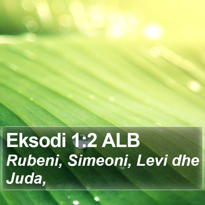 Eksodi 1:2 ALB Bible Study