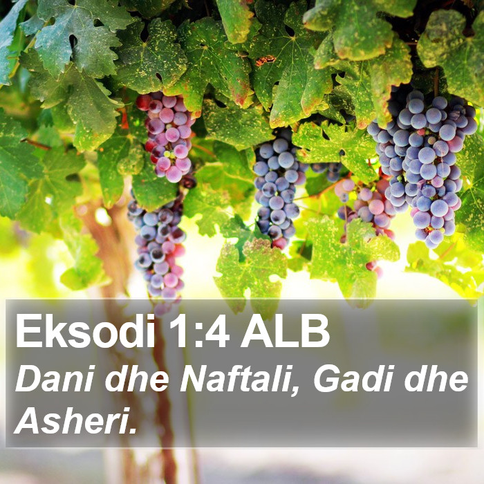 Eksodi 1:4 ALB Bible Study