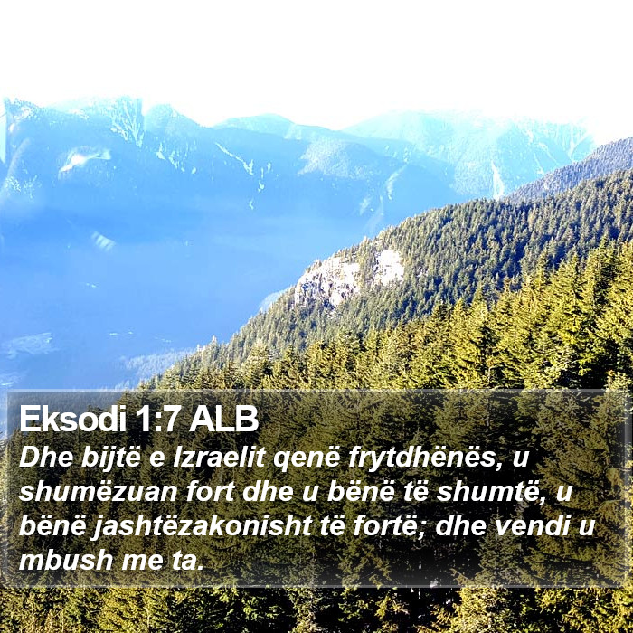 Eksodi 1:7 ALB Bible Study