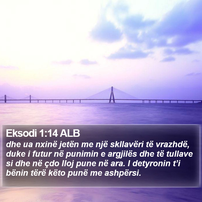 Eksodi 1:14 ALB Bible Study