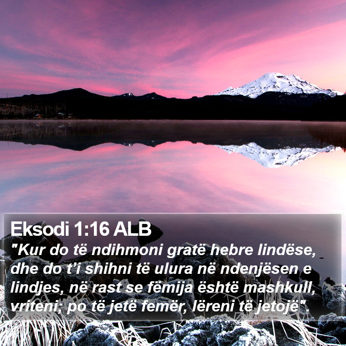 Eksodi 1:16 ALB Bible Study