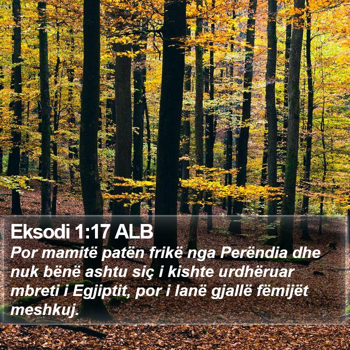 Eksodi 1:17 ALB Bible Study